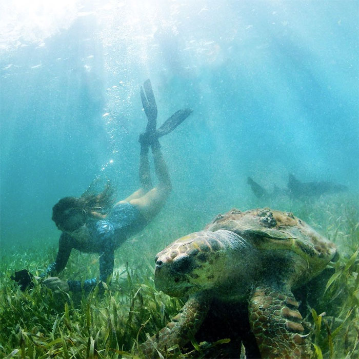 Guy Turns His Grandma’s Old Van Into Mobile Home And Spends 2 Years Travelling The World