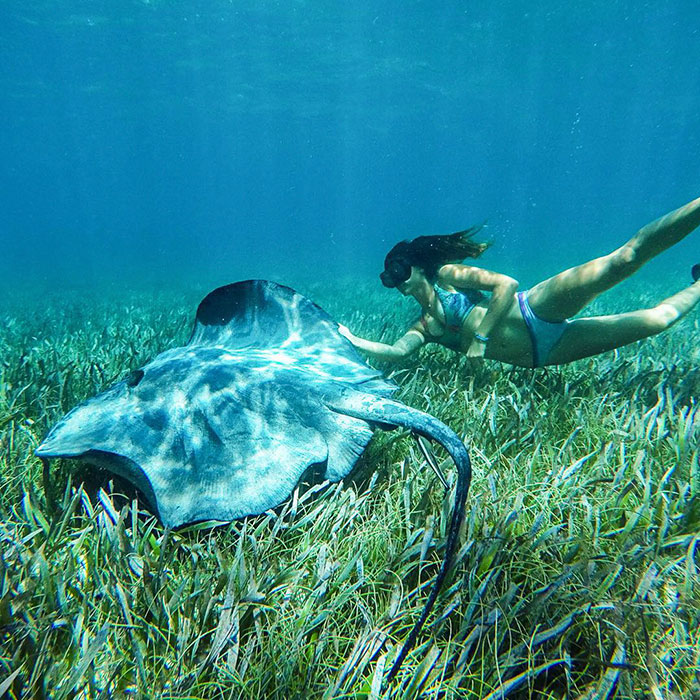 Guy Turns His Grandma’s Old Van Into Mobile Home And Spends 2 Years Travelling The World