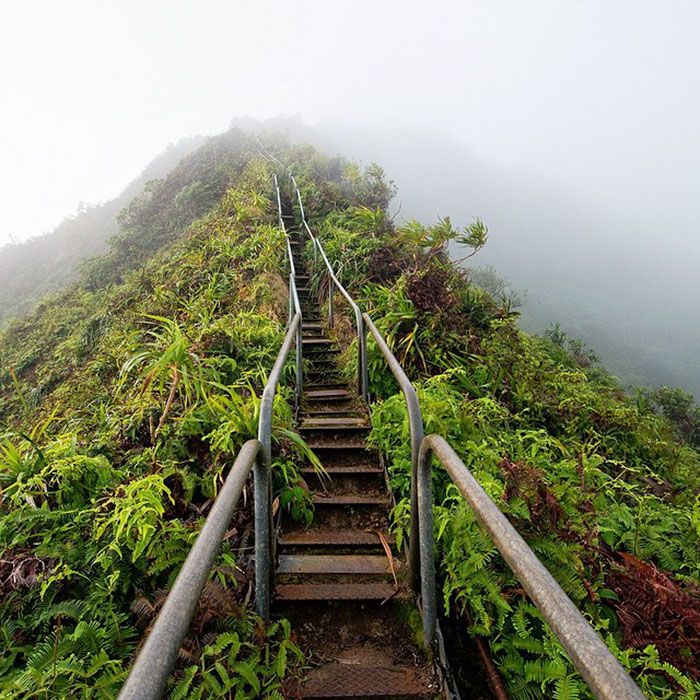 Guy Turns His Grandma’s Old Van Into Mobile Home And Spends 2 Years Travelling The World