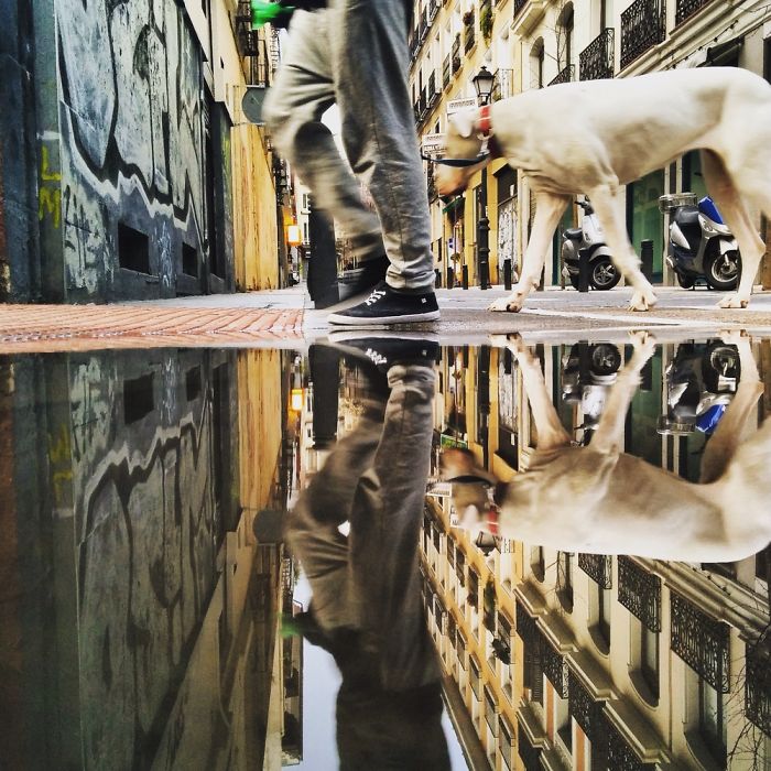 The Parallel Worlds Of Puddles In Spain