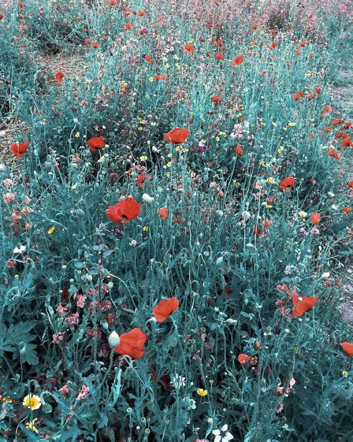 Artist Uses Everyday Objects To Create Powerful Arrangements In An Ode To Turquoise Artist Uses Everyday Objects To Create Powerful Arrangements In An Ode To Turquoise