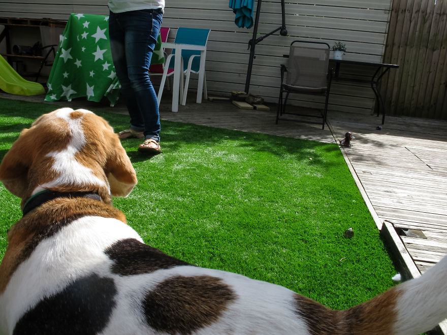 I Gave My 19-Month-Old Son My Old Canon G12: Here’s His POV