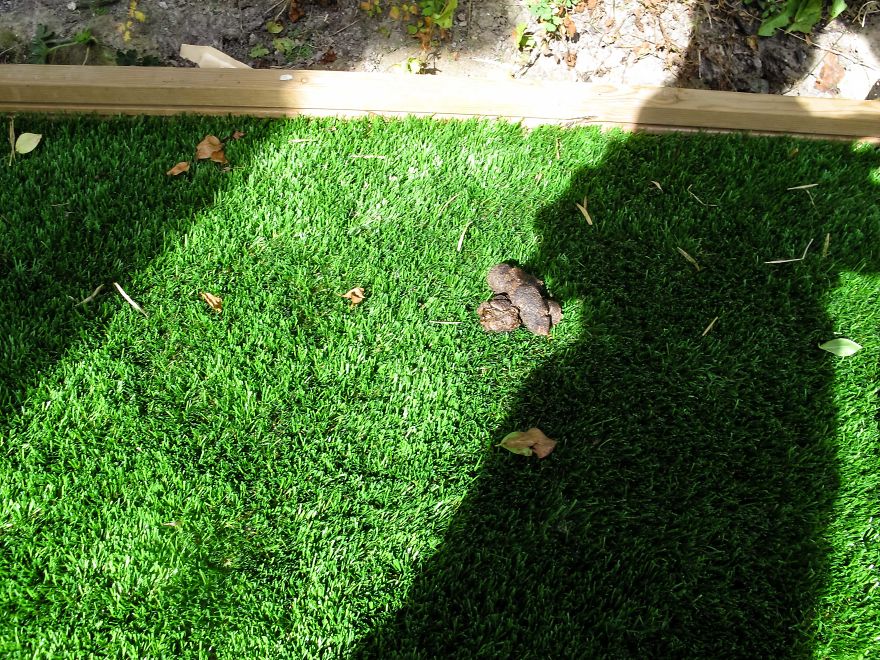 I Gave My 19-Month-Old Son My Old Canon G12: Here’s His POV