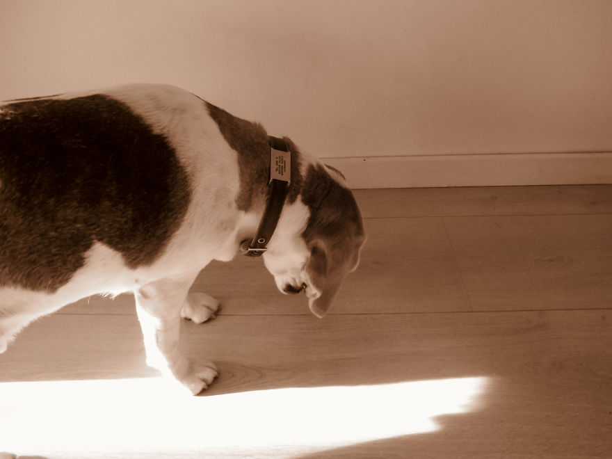 I Gave My 19-Month-Old Son My Old Canon G12: Here’s His POV