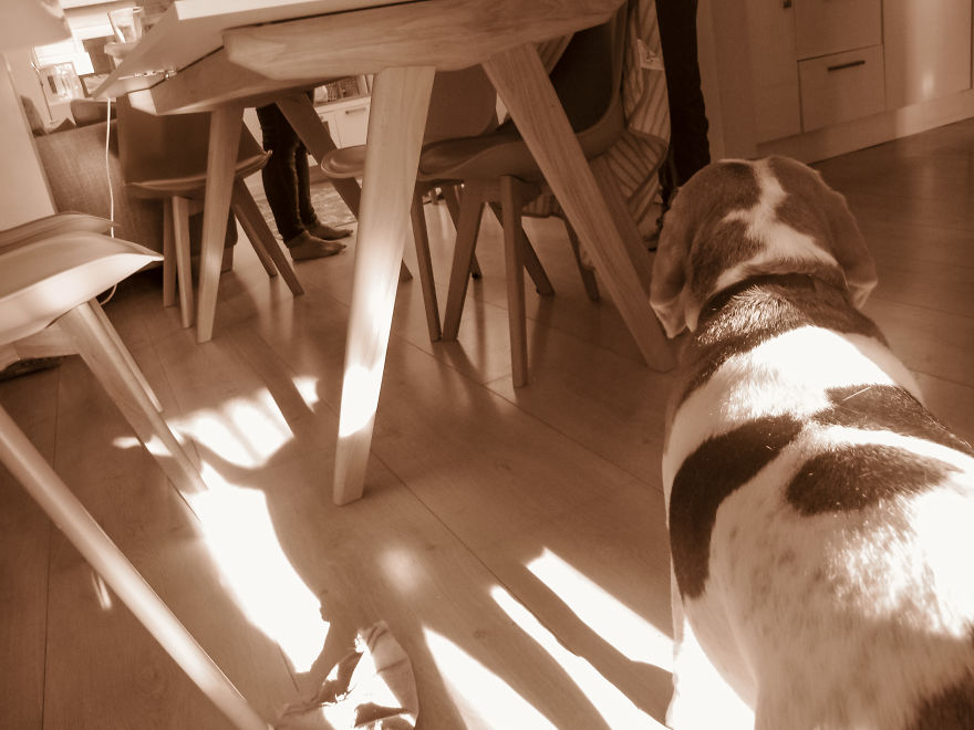 I Gave My 19-Month-Old Son My Old Canon G12: Here’s His POV