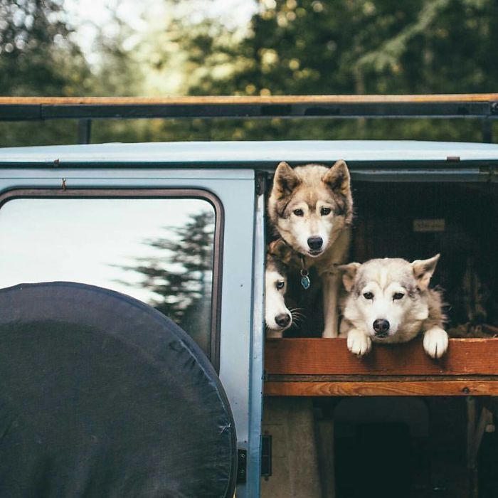 This Instagram Will Make You Rethink Your Life Goals