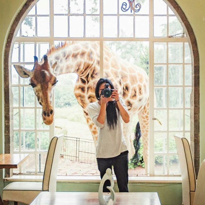 This Instagram Will Make You Rethink Your Life Goals