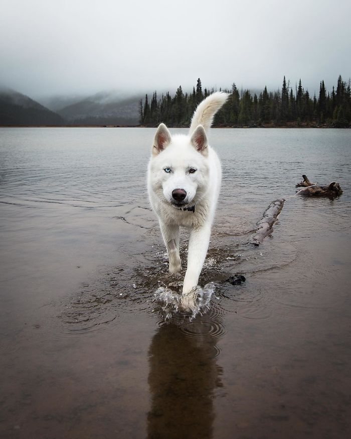 This Instagram Will Make You Rethink Your Life Goals