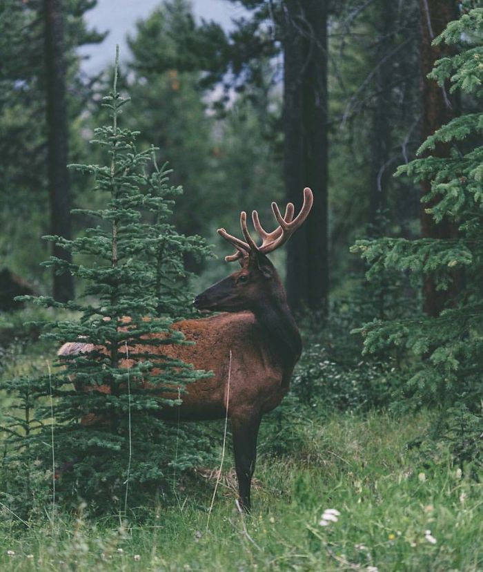 This Instagram Will Make You Rethink Your Life Goals