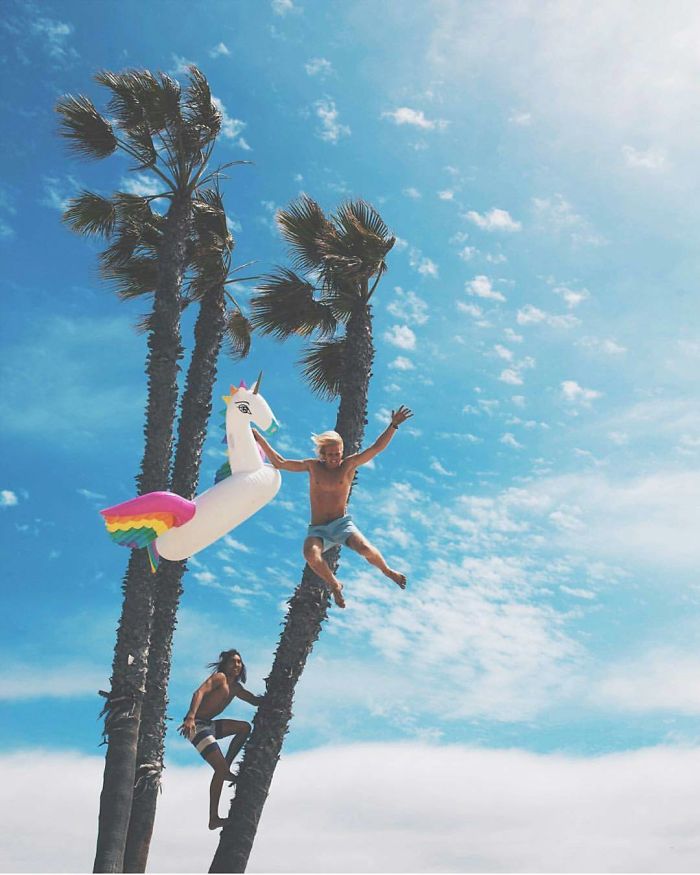 This Instagram Will Make You Rethink Your Life Goals