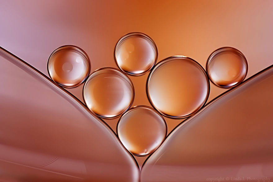 I Use Oil And Water To Photograph Abstract Drops I Use Oil And Water To Photograph Abstract Drops