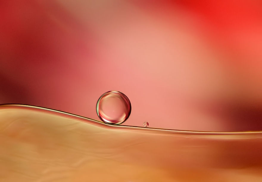 I Use Oil And Water To Photograph Abstract Drops I Use Oil And Water To Photograph Abstract Drops