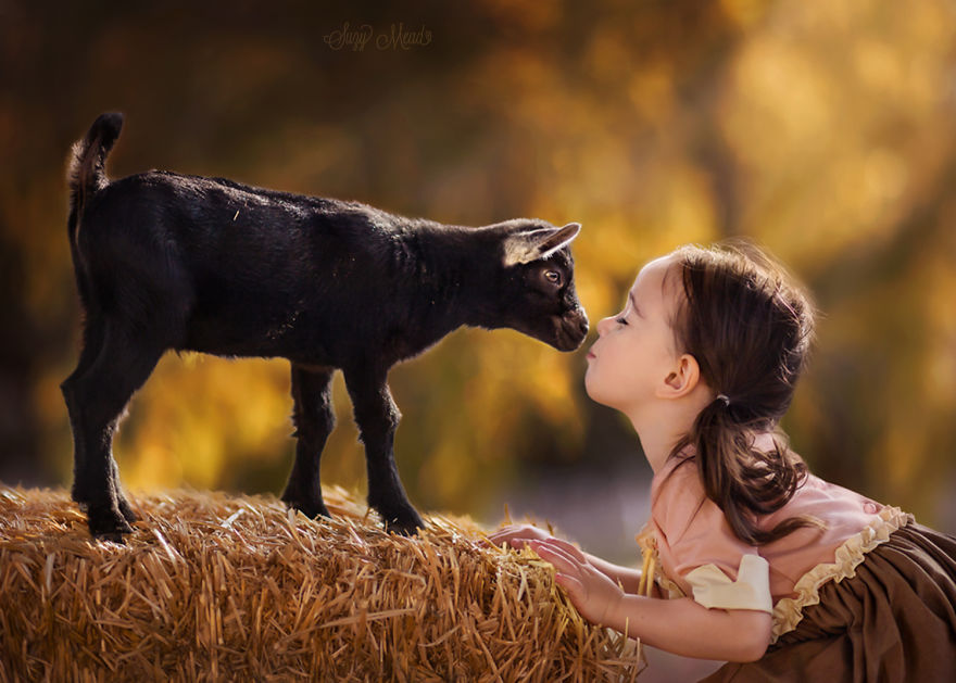 I Capture The Special Bond Between My Daughter And Animals I Capture The Special Bond Between My Daughter And Animals