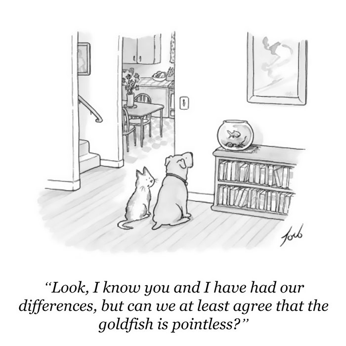 142 Of The Funniest New Yorker Cartoons Ever 142 Of The Funniest New Yorker Cartoons Ever