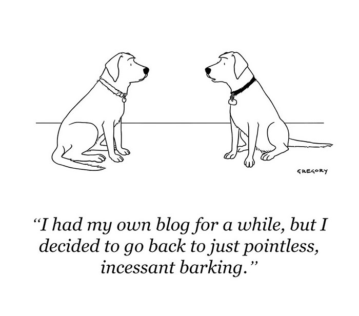 142 Of The Funniest New Yorker Cartoons Ever 142 Of The Funniest New Yorker Cartoons Ever