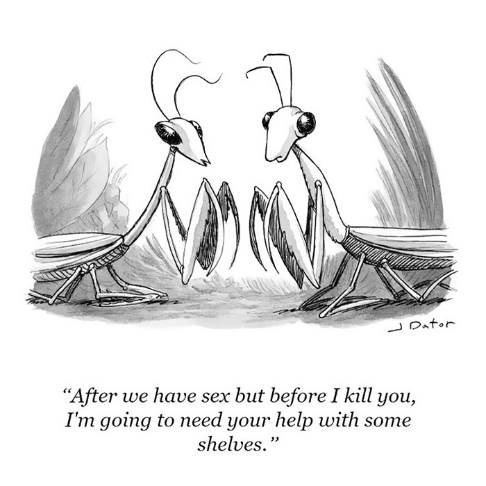 142 Of The Funniest New Yorker Cartoons Ever 142 Of The Funniest New Yorker Cartoons Ever