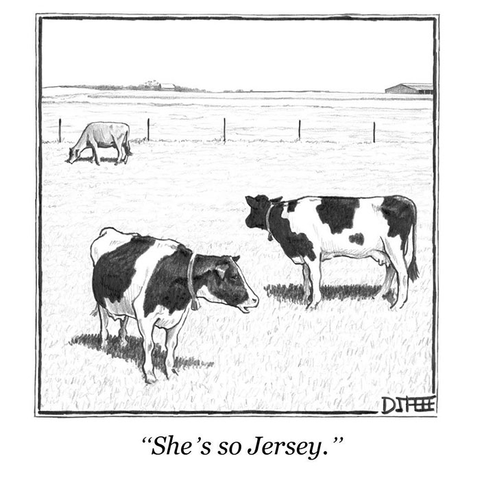 142 Of The Funniest New Yorker Cartoons Ever 142 Of The Funniest New Yorker Cartoons Ever