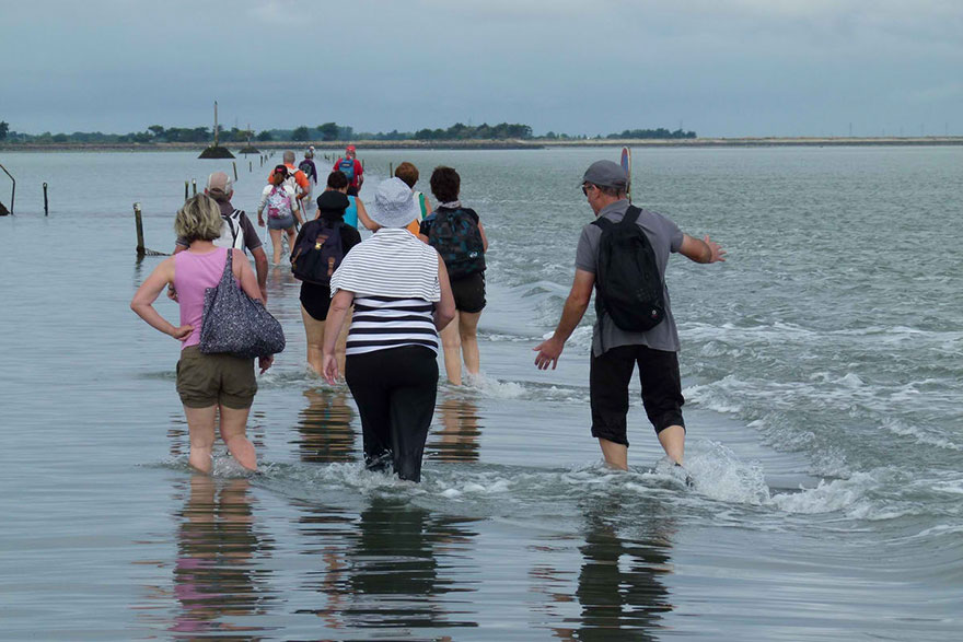 This Road In France Disappears Underwater Twice A Day