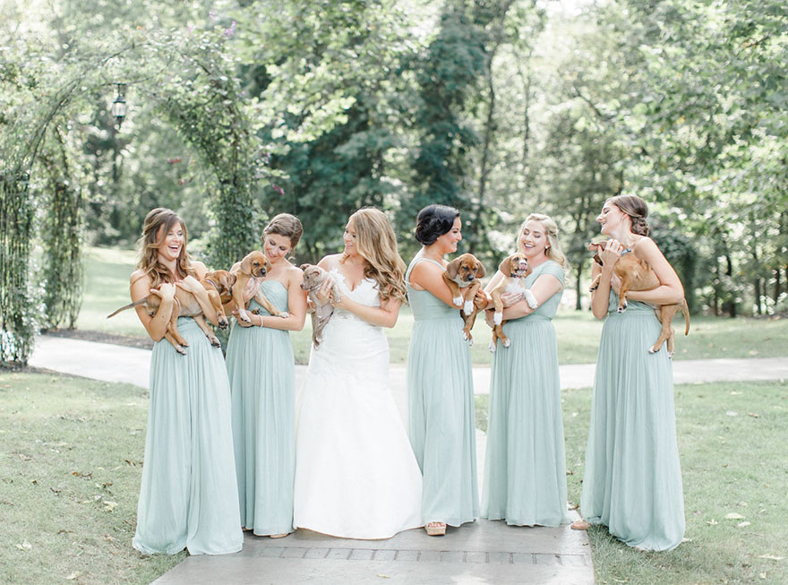 This Wedding Party Had Rescue Puppies Instead Of Flowers To Send A Beautiful Message