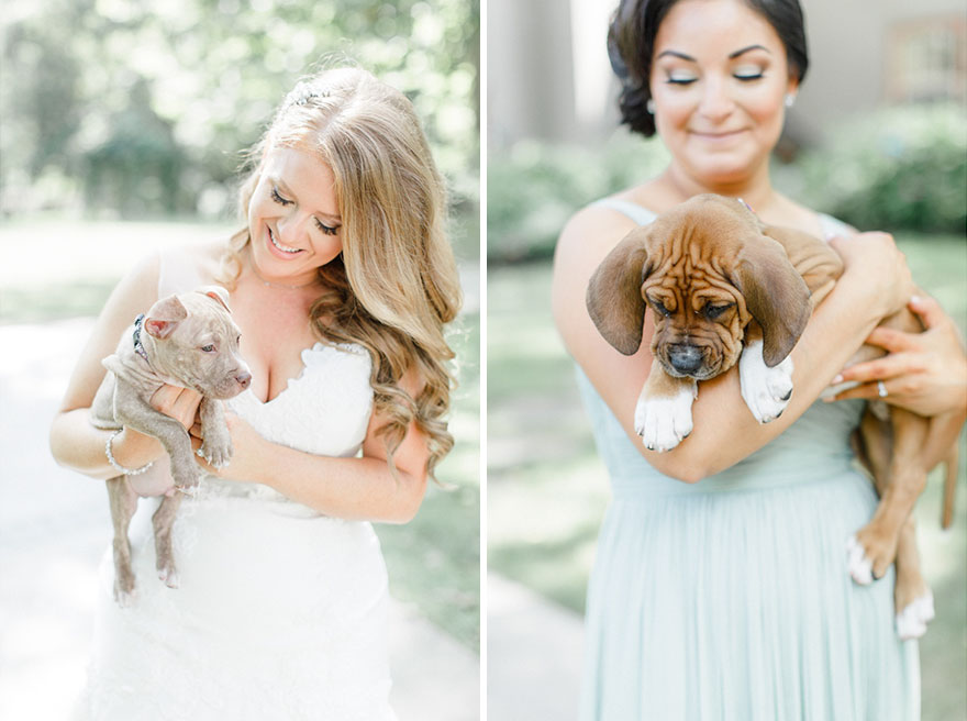 This Wedding Party Had Rescue Puppies Instead Of Flowers To Send A Beautiful Message