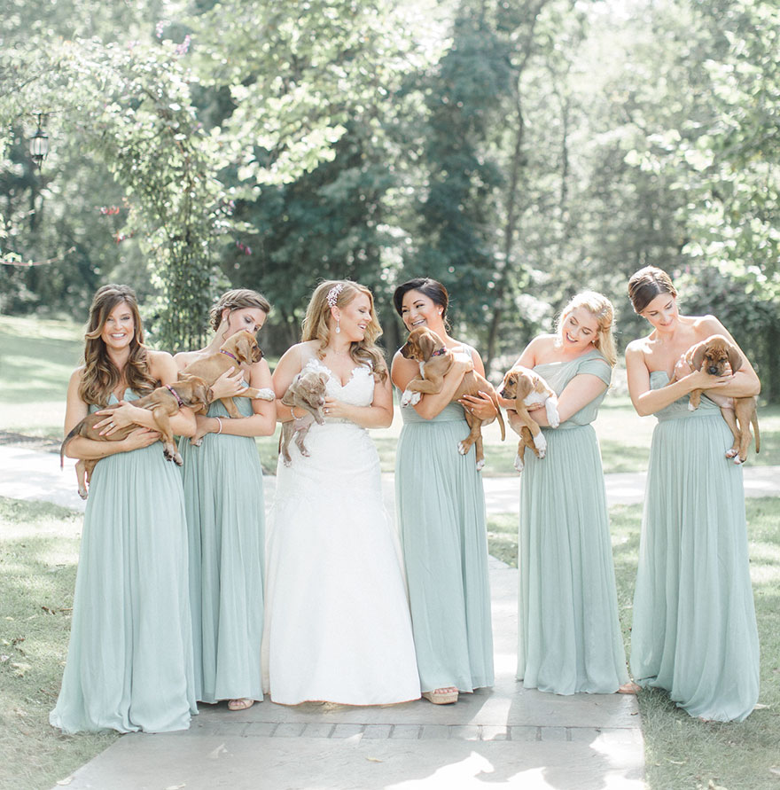 This Wedding Party Had Rescue Puppies Instead Of Flowers To Send A Beautiful Message