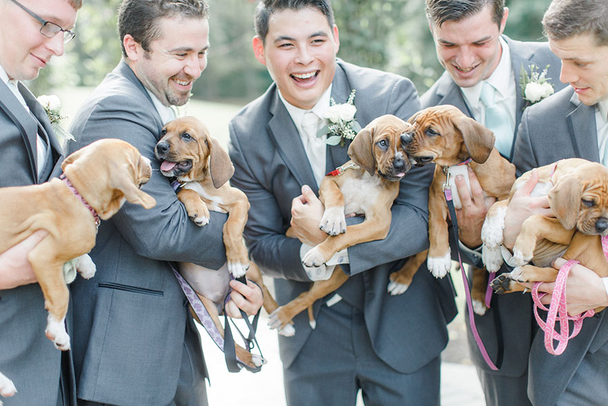 This Wedding Party Had Rescue Puppies Instead Of Flowers To Send A Beautiful Message