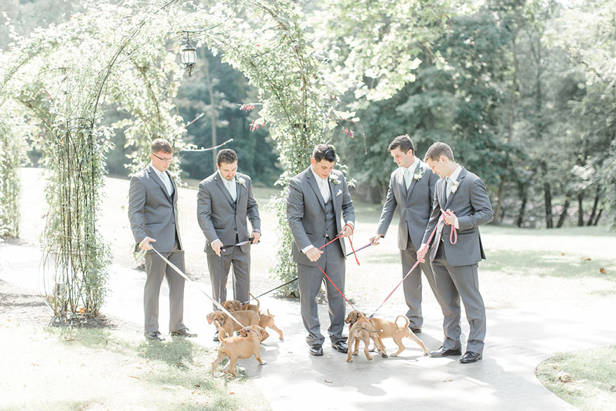 This Wedding Party Had Rescue Puppies Instead Of Flowers To Send A Beautiful Message