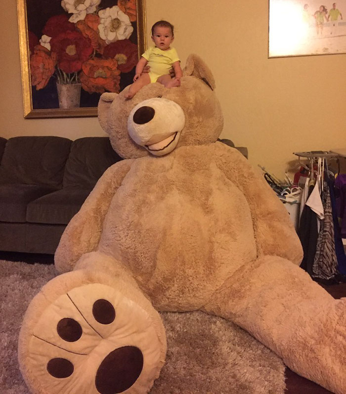 Grandpa Gets Granddaughter Ridiculously Huge Teddy Bear, And The Internet Just Cannot Bear It Grandpa Gets Granddaughter Ridiculously Huge Teddy Bear, And The Internet Just Cannot Bear It