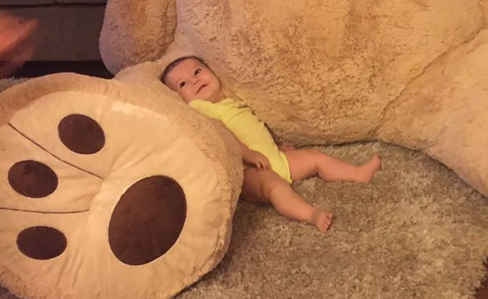 Grandpa Gets Granddaughter Ridiculously Huge Teddy Bear, And The Internet Just Cannot Bear It Grandpa Gets Granddaughter Ridiculously Huge Teddy Bear, And The Internet Just Cannot Bear It