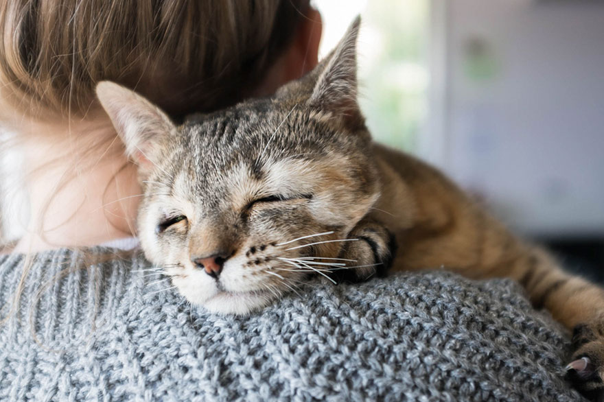Stray Kittens Born Without Eyelids Couldn’t Be Happier After Humans Saved Their Sight Stray Kittens Born Without Eyelids Couldn’t Be Happier After Humans Saved Their Sight