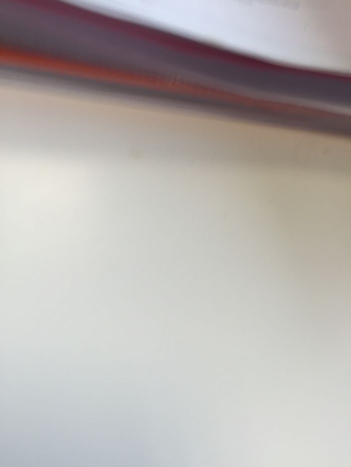 16 Ducks That Think They’re Flamingos 16 Ducks That Think They’re Flamingos