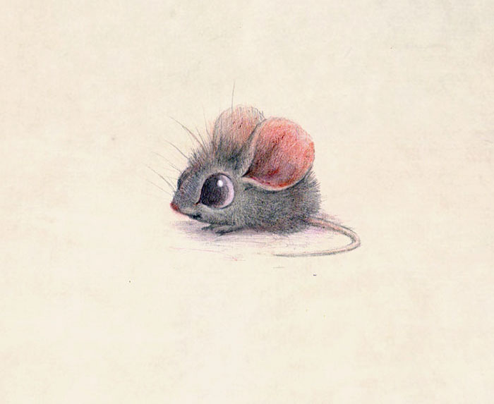 Incredibly Cute Animal Illustrations By Sydney Hanson Will Make You Smile