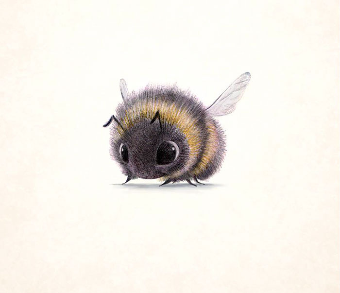 Incredibly Cute Animal Illustrations By Sydney Hanson Will Make You Smile