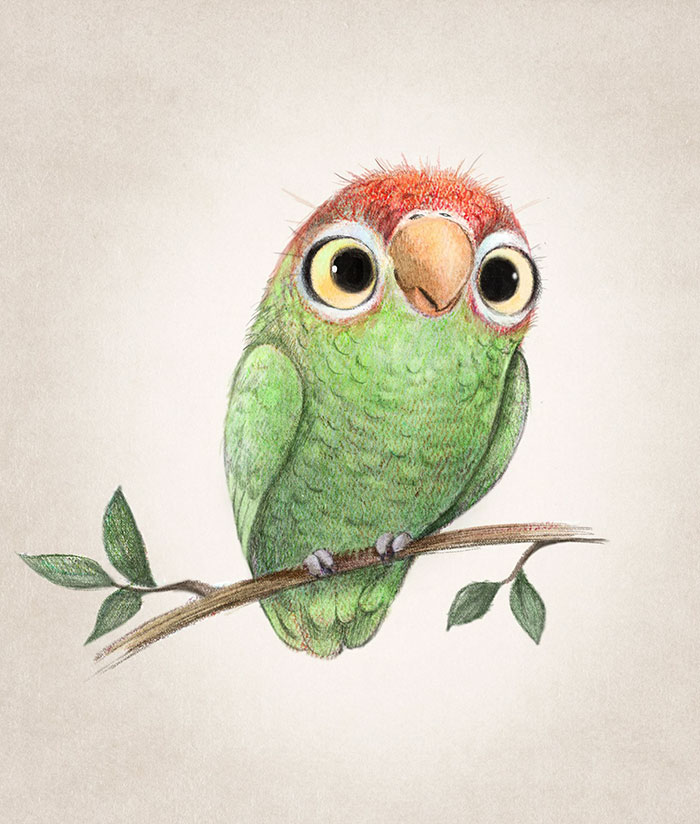 Incredibly Cute Animal Illustrations By Sydney Hanson Will Make You Smile