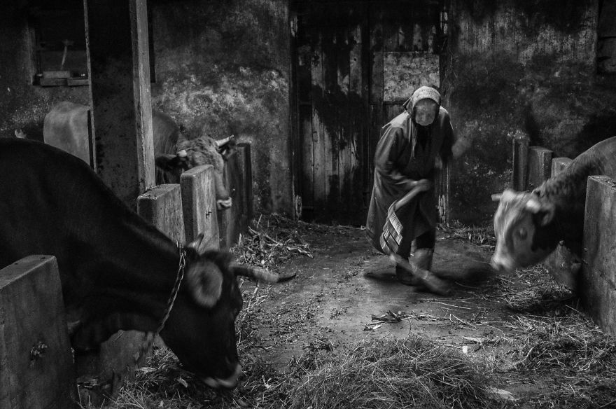 I Followed My 83-Year-Old Grandma Around Her Farm For One Day I Followed My 83-Year-Old Grandma Around Her Farm For One Day