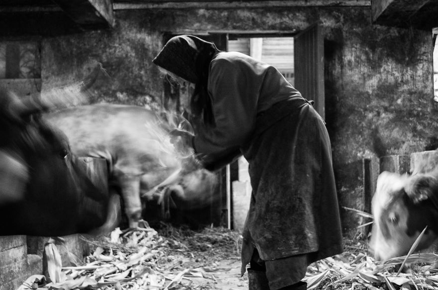 I Followed My 83-Year-Old Grandma Around Her Farm For One Day I Followed My 83-Year-Old Grandma Around Her Farm For One Day