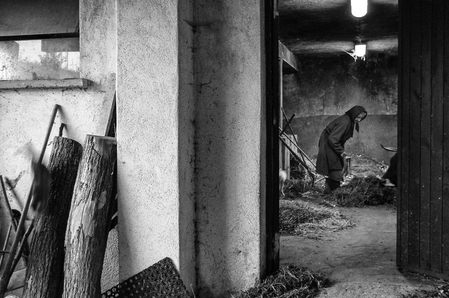 I Followed My 83-Year-Old Grandma Around Her Farm For One Day I Followed My 83-Year-Old Grandma Around Her Farm For One Day