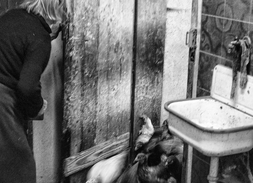 I Followed My 83-Year-Old Grandma Around Her Farm For One Day I Followed My 83-Year-Old Grandma Around Her Farm For One Day