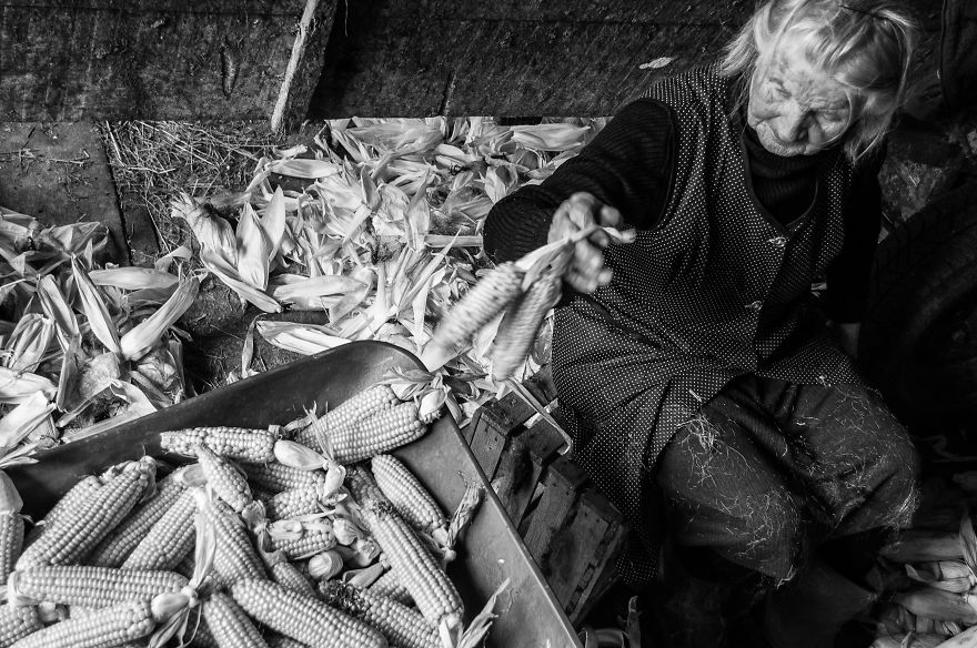 I Followed My 83-Year-Old Grandma Around Her Farm For One Day I Followed My 83-Year-Old Grandma Around Her Farm For One Day