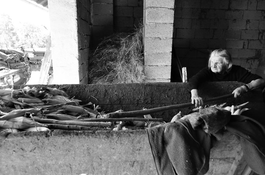 I Followed My 83-Year-Old Grandma Around Her Farm For One Day I Followed My 83-Year-Old Grandma Around Her Farm For One Day