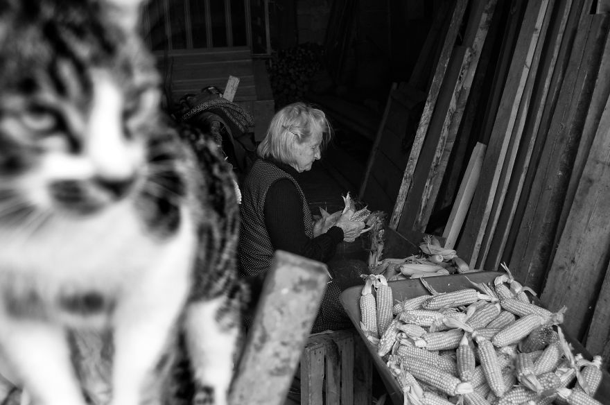 I Followed My 83-Year-Old Grandma Around Her Farm For One Day I Followed My 83-Year-Old Grandma Around Her Farm For One Day