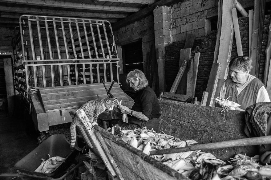 I Followed My 83-Year-Old Grandma Around Her Farm For One Day I Followed My 83-Year-Old Grandma Around Her Farm For One Day