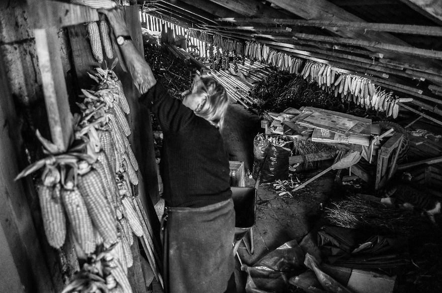 I Followed My 83-Year-Old Grandma Around Her Farm For One Day I Followed My 83-Year-Old Grandma Around Her Farm For One Day