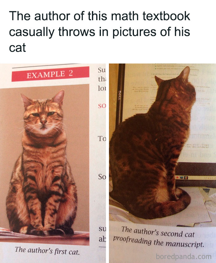 50 Of The Most Hilarious Things Ever Found In Textbooks 50 Of The Most Hilarious Things Ever Found In Textbooks