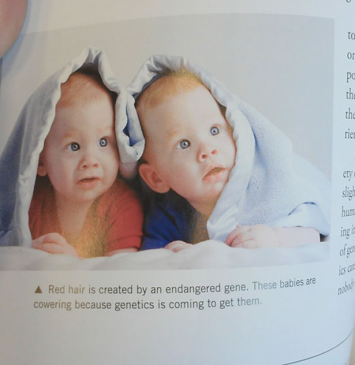 50 Of The Most Hilarious Things Ever Found In Textbooks 50 Of The Most Hilarious Things Ever Found In Textbooks