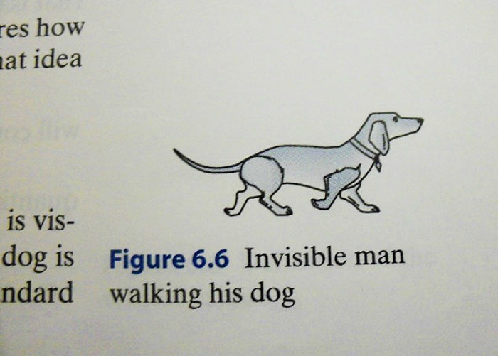 50 Of The Most Hilarious Things Ever Found In Textbooks 50 Of The Most Hilarious Things Ever Found In Textbooks