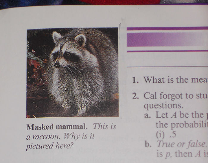 50 Of The Most Hilarious Things Ever Found In Textbooks 50 Of The Most Hilarious Things Ever Found In Textbooks