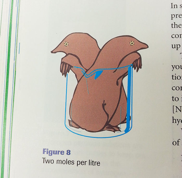 50 Of The Most Hilarious Things Ever Found In Textbooks 50 Of The Most Hilarious Things Ever Found In Textbooks