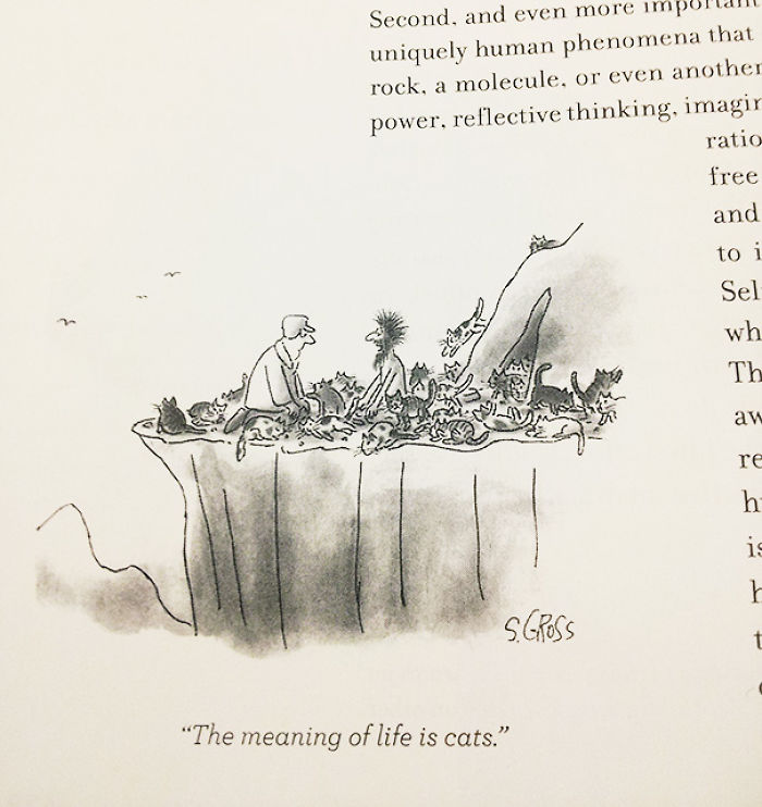 50 Of The Most Hilarious Things Ever Found In Textbooks 50 Of The Most Hilarious Things Ever Found In Textbooks