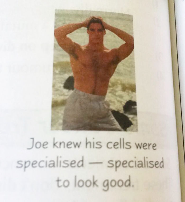 50 Of The Most Hilarious Things Ever Found In Textbooks 50 Of The Most Hilarious Things Ever Found In Textbooks